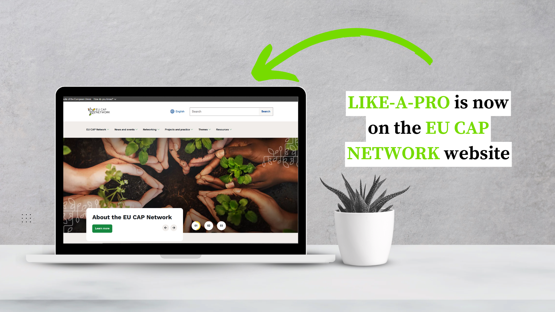 LIKE-A-PRO is now on the EU CAP NETWORK website