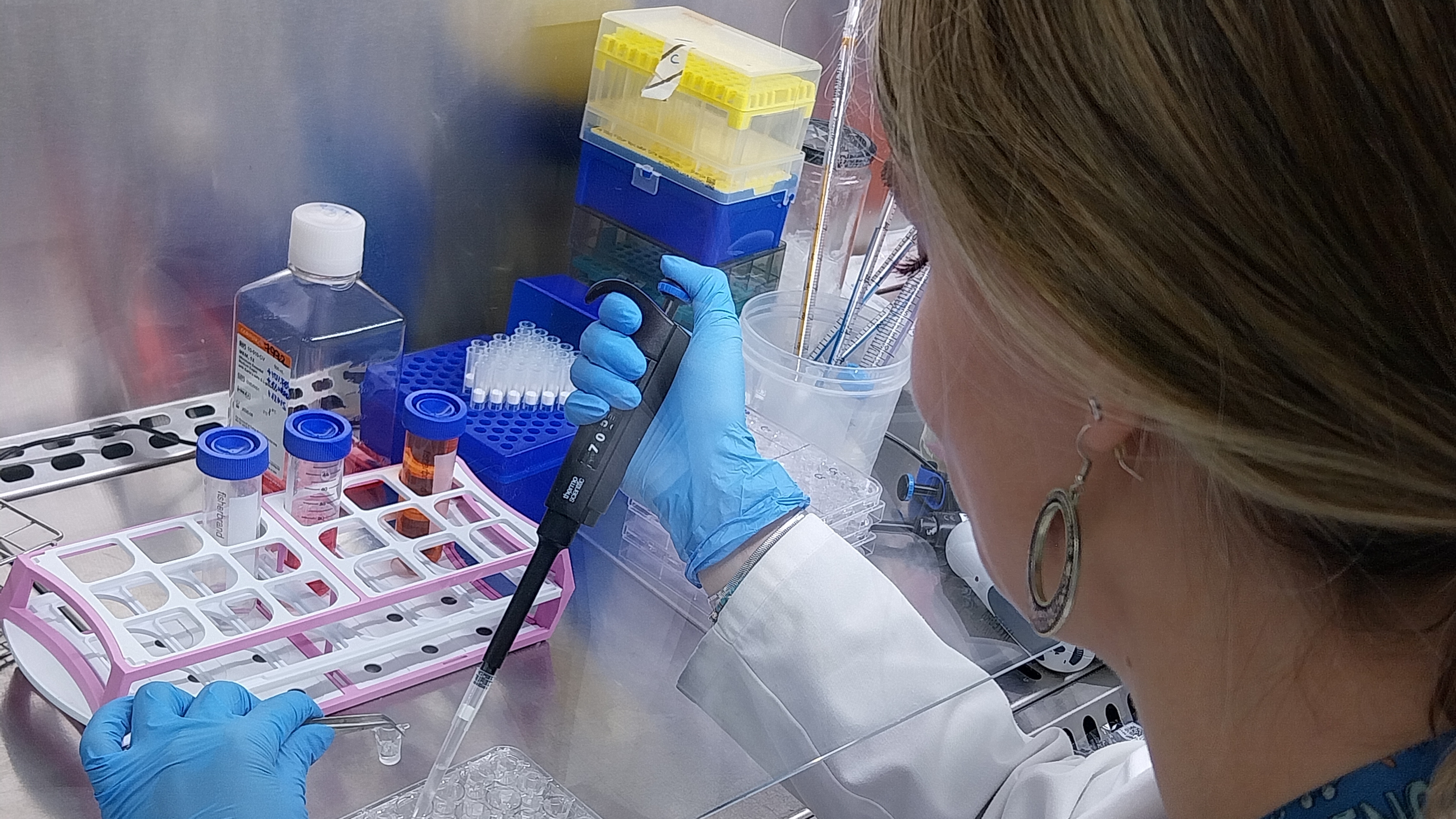 GAIKER tests safety and nutrient uptake of LIKE-A-PRO protein products