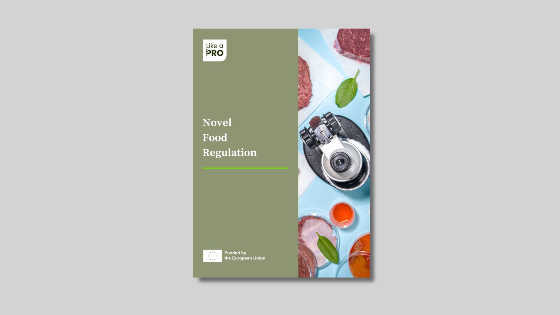 Navigating the Novel Food Regulation: What Alternative Protein Innovators Need to Know