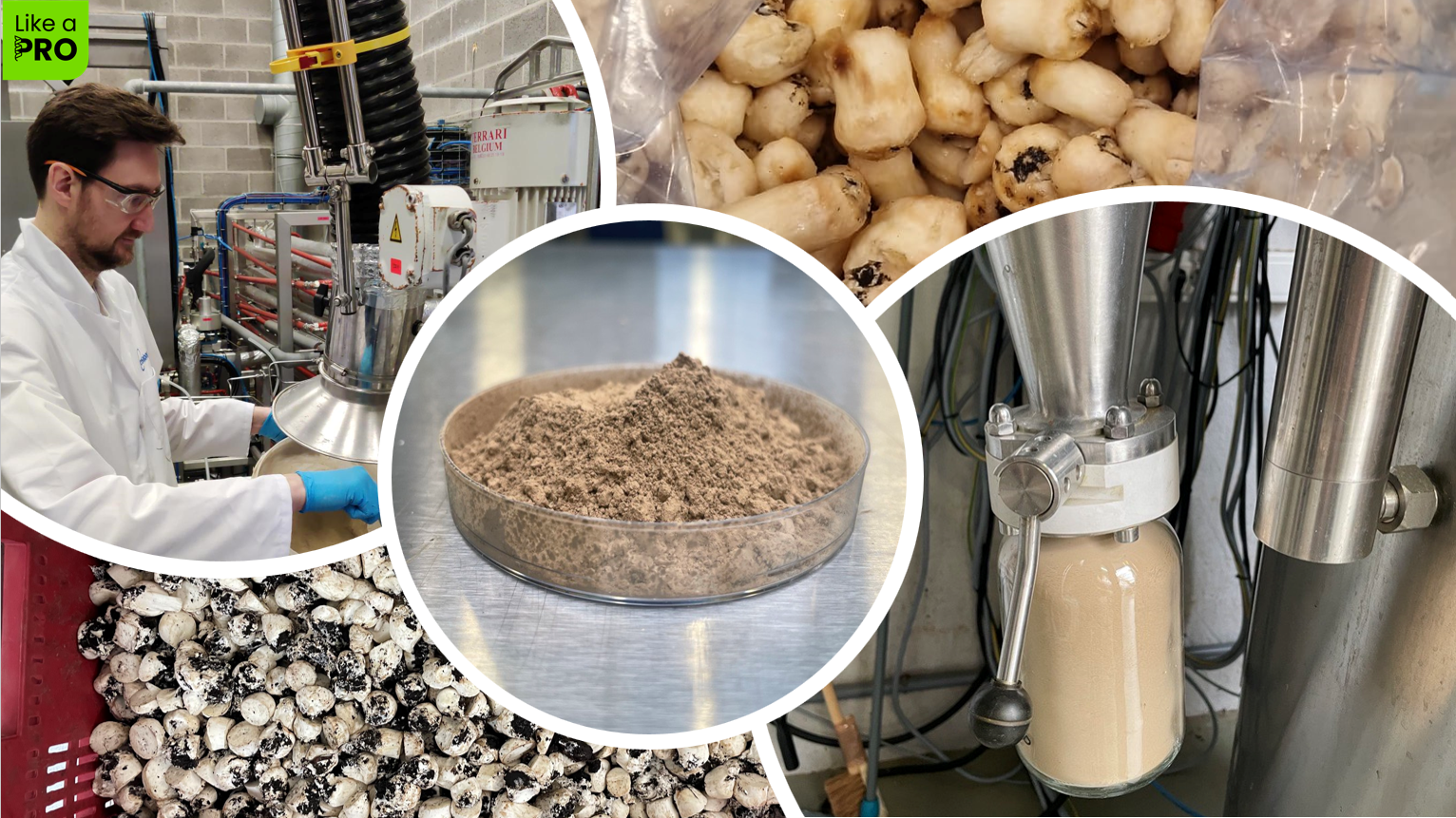 Production of a protein rich ingredient from mushroom by-products has been launched
