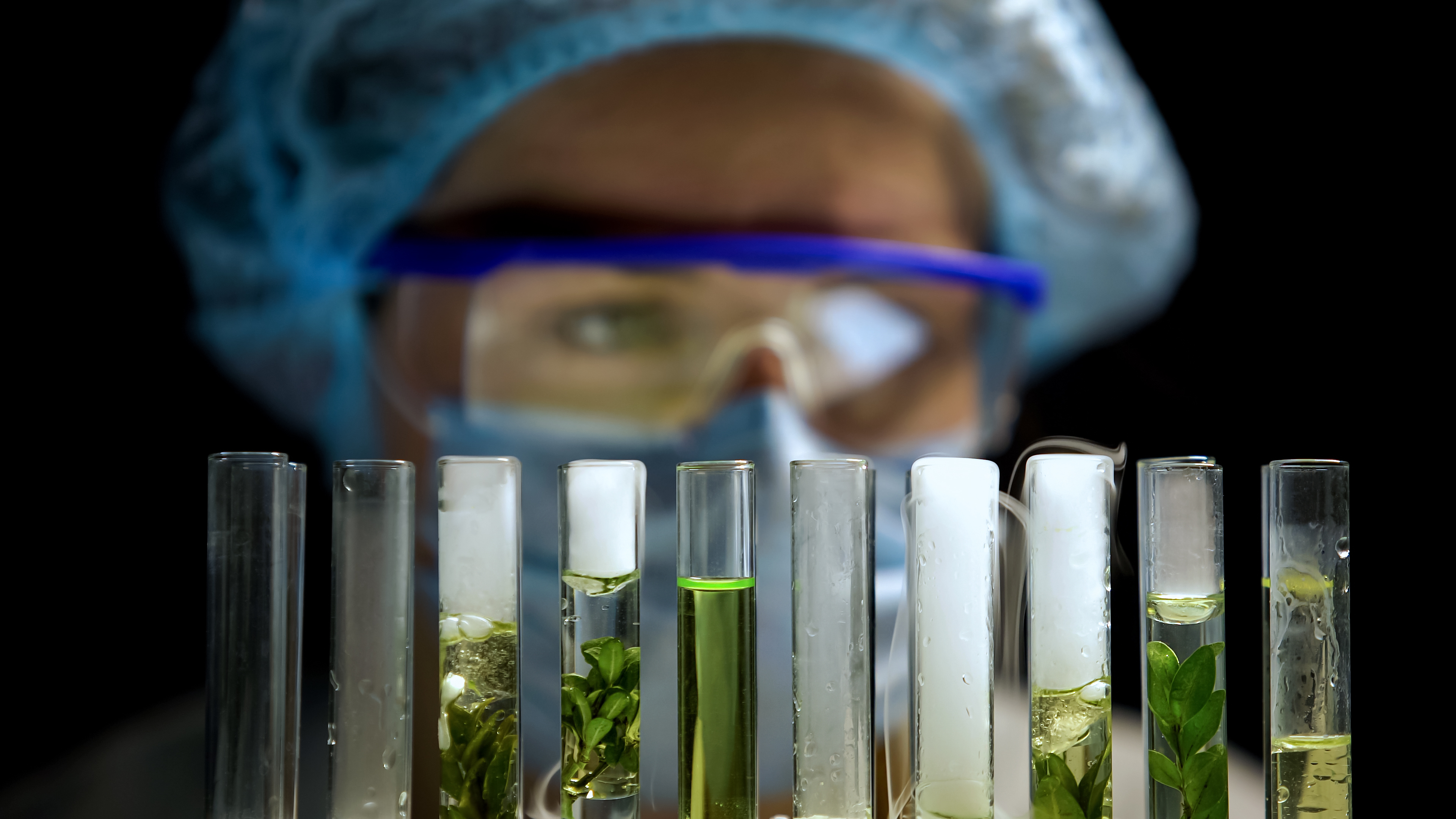Great Opportunity for Novel Food Innovators!